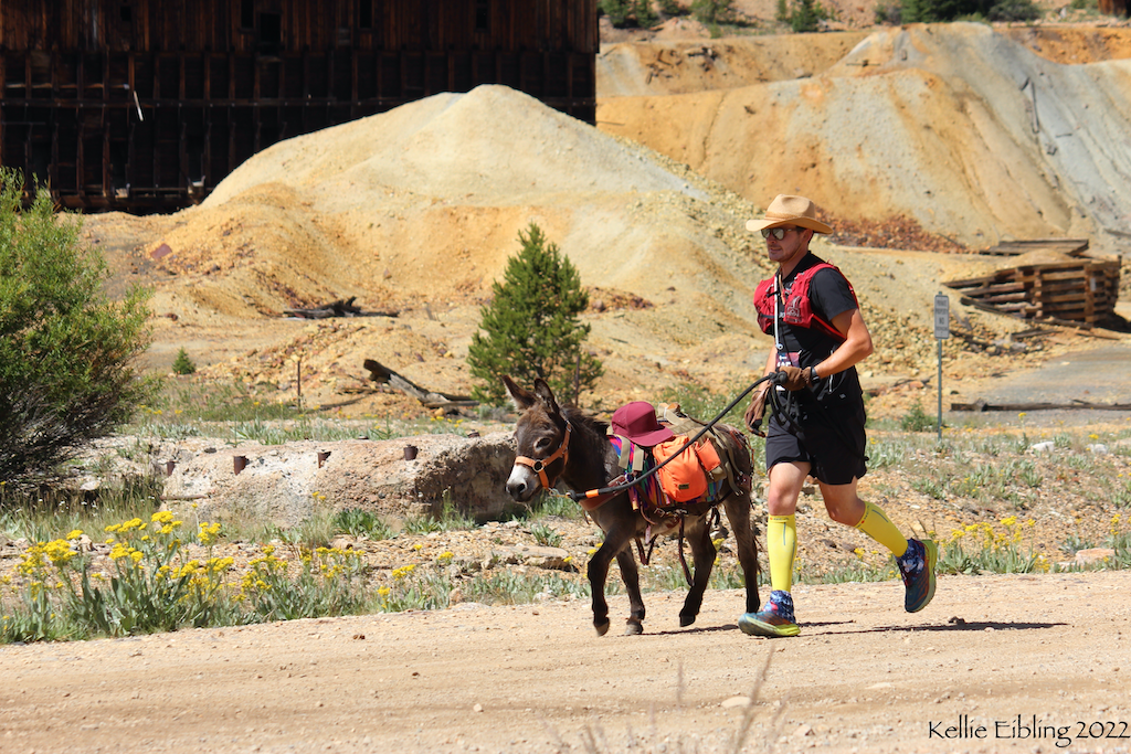 Burro Racing in the Colorado Rockies