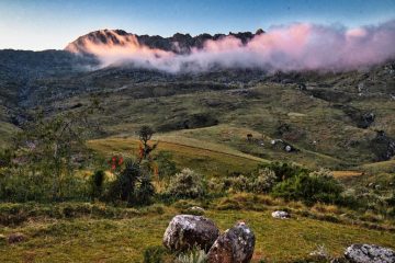 The view from Mount Mulanje