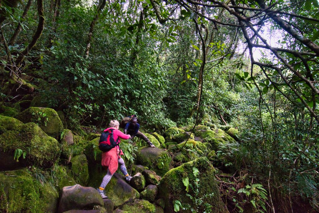 Ines climbing in mount mulanje