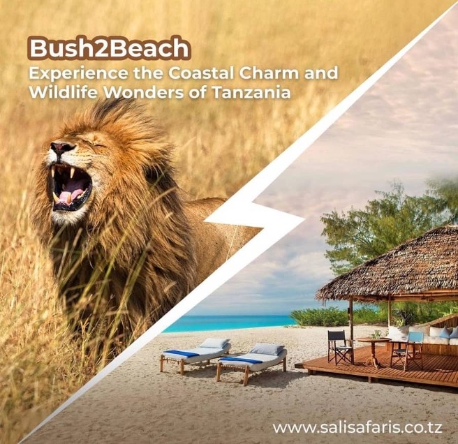 Bush to Beach Sali Safaris