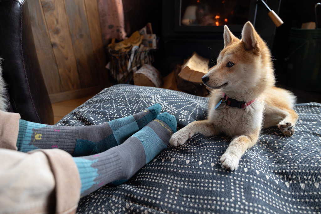 Socks and Dogs