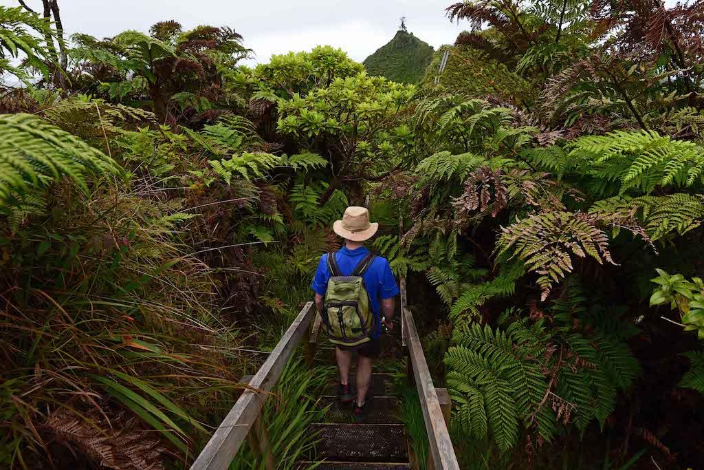 HIking in St Helena