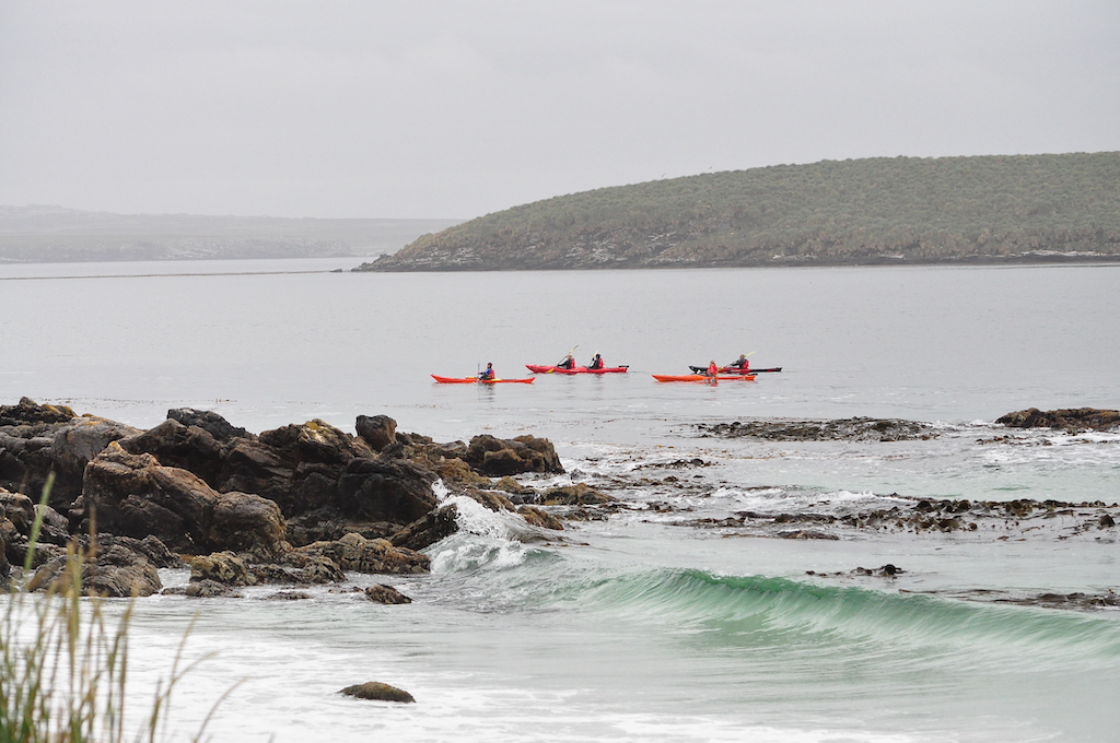 Kayaking at the Cape Pembroke Penninsula