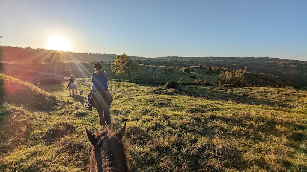 Horse trekking georgia