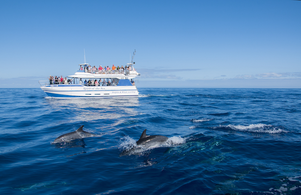 Gran Canaria Blue