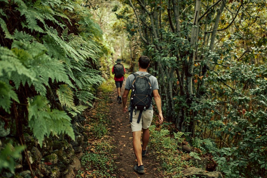 Gran CAnaria Natural and Active Forest 
