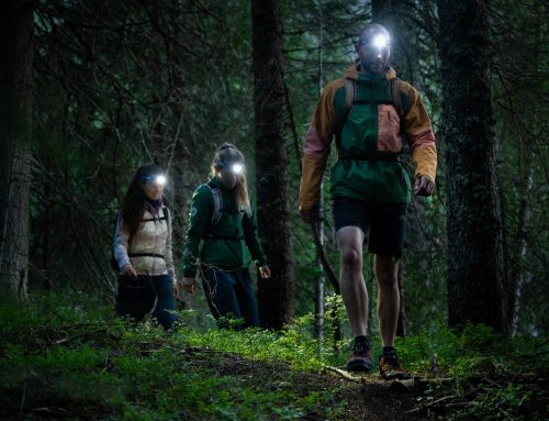 The ultimate headlamp buying guide for winter nights
