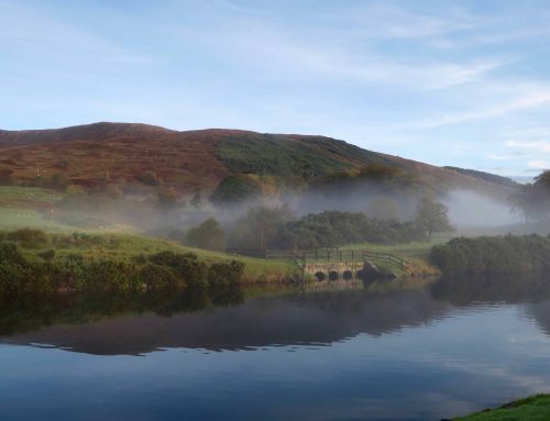 The Blue Mind Effect: Why These 8 Waterside Walks Are the Ultimate Well-Being Break